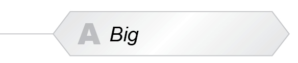 The Answer Is A Big